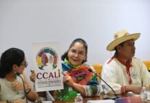 BATALLA A LA MARGINACIÓN Y AL DESUSO