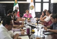 JAROCHOS DAN EL SÍ A NAHLE!