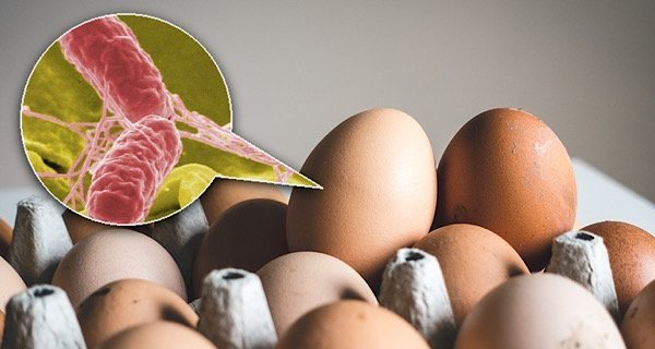Huevos