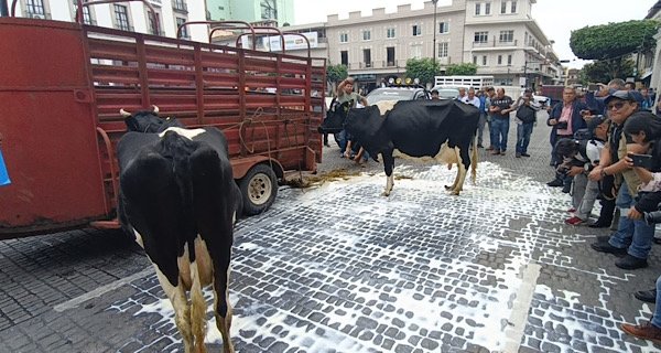 Leche, lechero