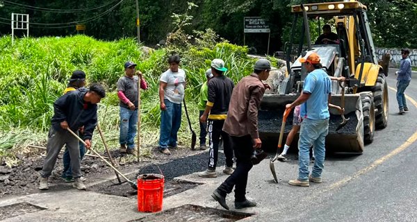 Bacheo Teocelo