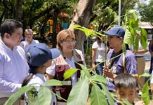 QUIERE VERDE A VERACRUZ!