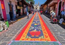 XICO ESTÁ DE FIESTA!