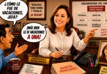 CÓMO TE FUE DE VACA?