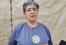 118 ÁRBOLES CAÍDOS EN XALAPA POR LAS LLUVIAS!