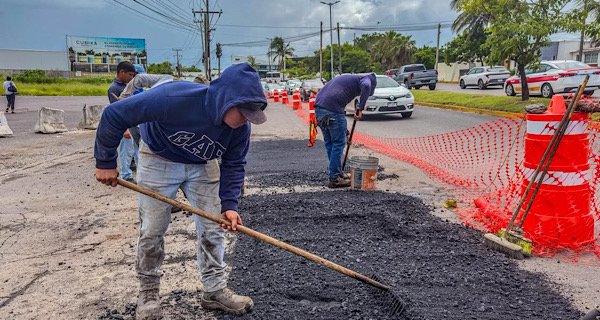 Boca baches