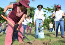 PLANTA 20 mil ARBOLITOS!