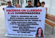 LAS QUIEREN DE VUELTA!