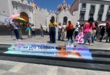 PIDEN CABEZA DE VIANED!