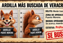 LA HA VISTO?