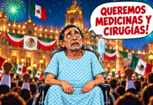 VIVA MÉXICO? VIVA VERACRUZ?