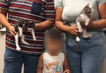 51 ENCUENTRAN NUEVO HOGAR