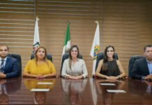 ¡A EXAMEN, SEÑORES JUECES!