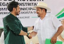 EL VERDE ECHA RAÍCES EN MISANTLA