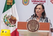 ¡VERACRUZ VUELVE A LAS GRANDES LIGAS!