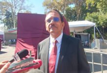 MEDIO BILLÓN DE MOSCAS AL RESCATE!