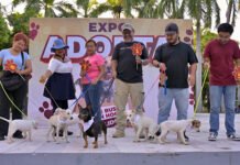 ONCE ENCUENTRAN NUEVO HOGAR