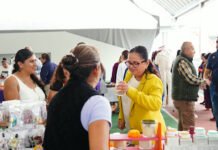 REMUXAS ABRE MÁS APARADORES!