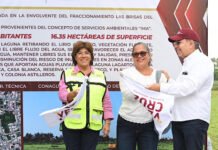 A LIMPIAR LAGARTOS!