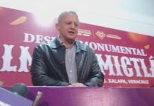 MIL ELEMENTOS PARA EL BUEN FIN Y DÍA DE MUERTOS!