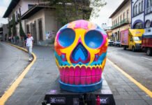 CALAVEROTAS, A VOTACIÓN!