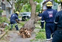 EL NORTE SUMA 35 SERVICIOS!