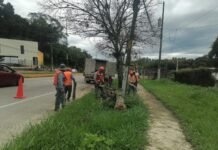 DEL NORTE AL ABRIGO!