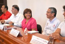LE ECHAN LUPA AL AYUNTAMIENTO