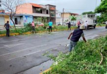 EL NORTE YA DEJÓ 23 REPORTES!