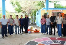 APOYOS PARA LAS CINCO!