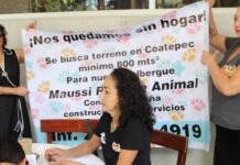 150 PELUDOS BUSCAN CASA!